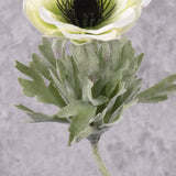 Anemone Mia, White, 11cm x 43cm