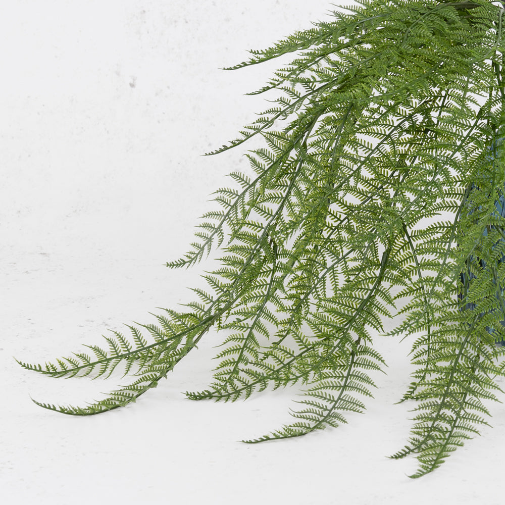 Woodwardia Fern, 70cm, UV Safe