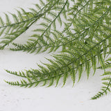 Woodwardia Fern, 70cm, UV Safe