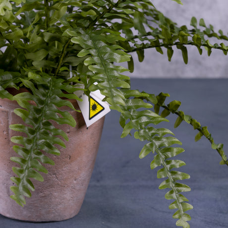 A close up shot of the base of an artificial Boston, or sword, fern, showing a terracotta pot