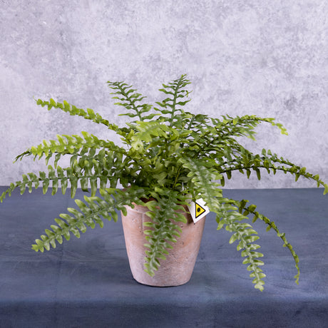 An artificial Boston, or sword, fern in a terracotta pot