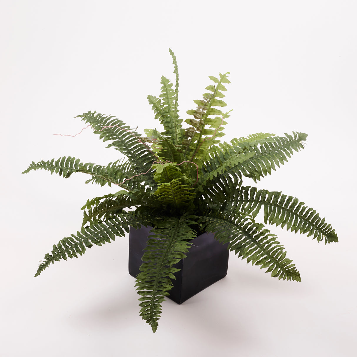 Boston Fern (sword), Artificial, 41cm Diameter
