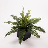 Boston Fern (sword), Artificial, 41cm Diameter