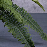 A close up of the leaves of an artificial Boston or sword fern in a terracotta pot.