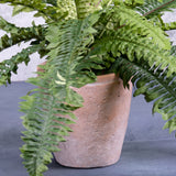 A close up of the base of an artificial Boston or sword fern in a terracotta pot.