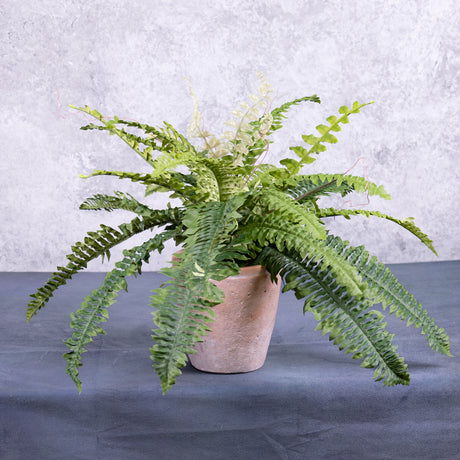 An artificial Boston or sword fern in a terracotta pot.