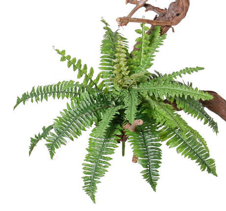 Boston Fern (sword), Artificial, 41cm Diameter