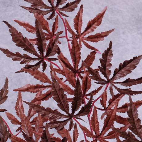 A close up of an artificial Japanese Acer, in rich Burgundy,