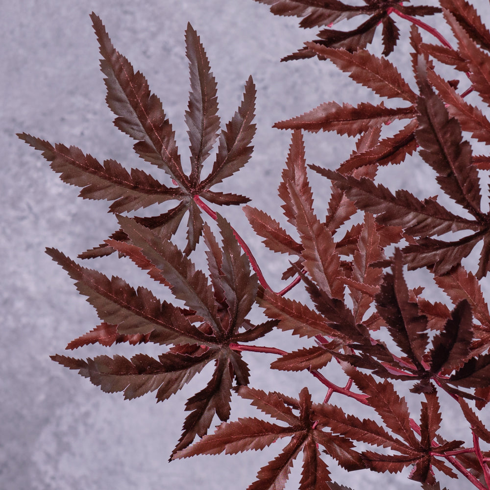 A close up of an artificial Japanese Acer, in rich Burgundy,