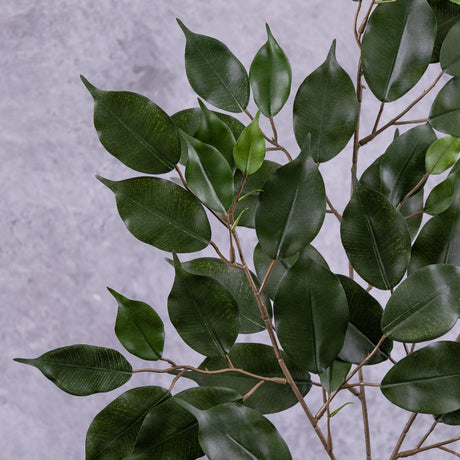 An artificial Ficus Benjamin stem showing multiple leaves on several branchlets