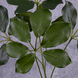 Schefflera Branch 50cm