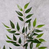 Smilax Branch, Artificial, 72cm