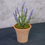 Lavender Plant, 35cm, UV, FR