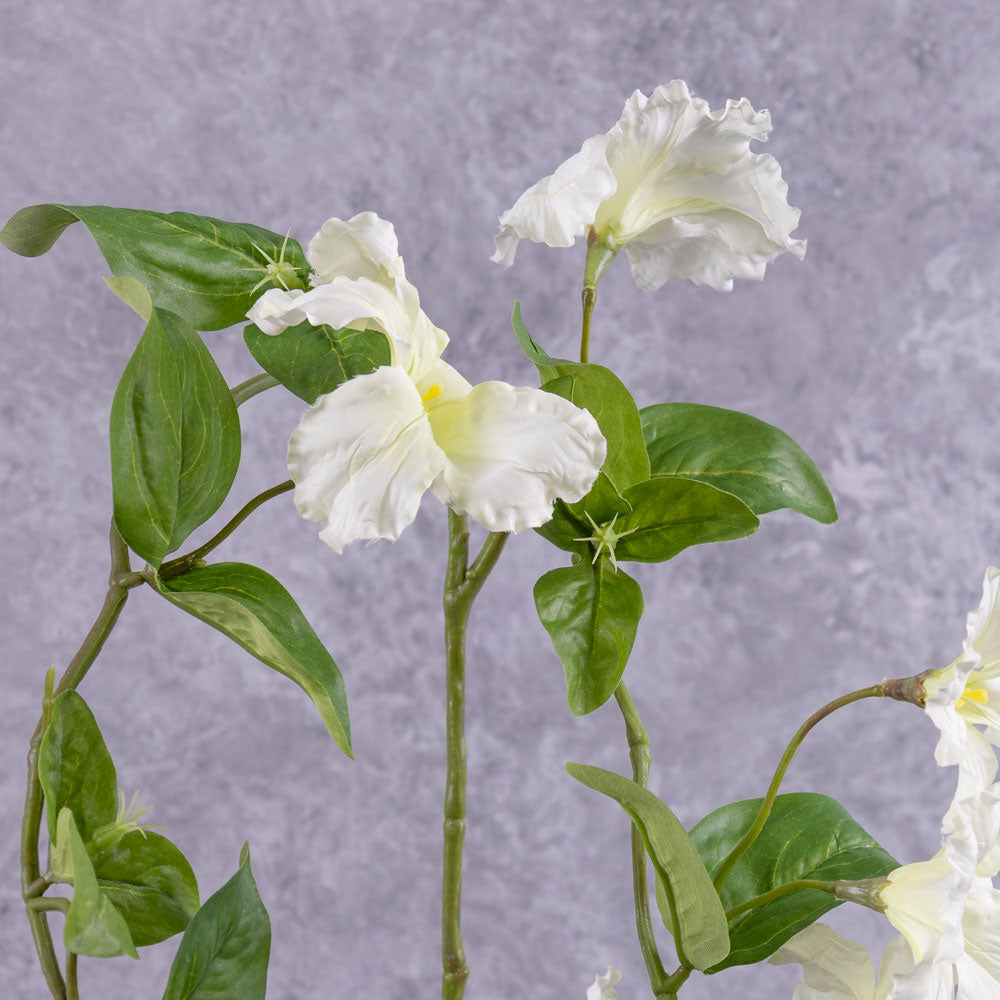 Petunia Garland, White, 132cm