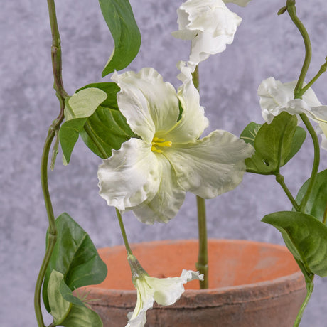 Petunia Garland, White, 132cm