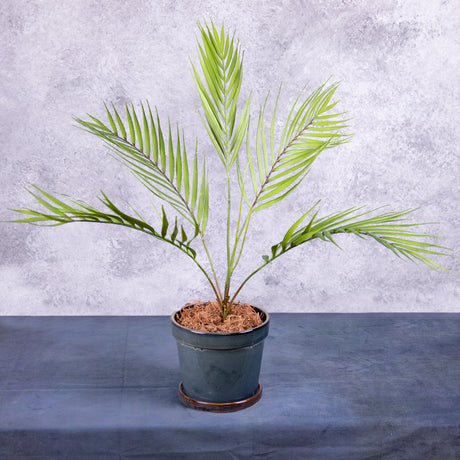 A faux Areca plant in a blue pot