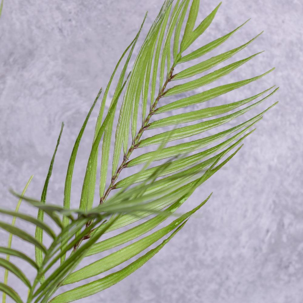 A faux Areca plantleaf in detail