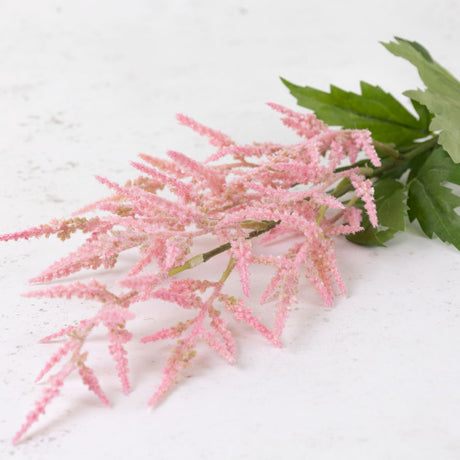 Astilbe, Pink, 90cm