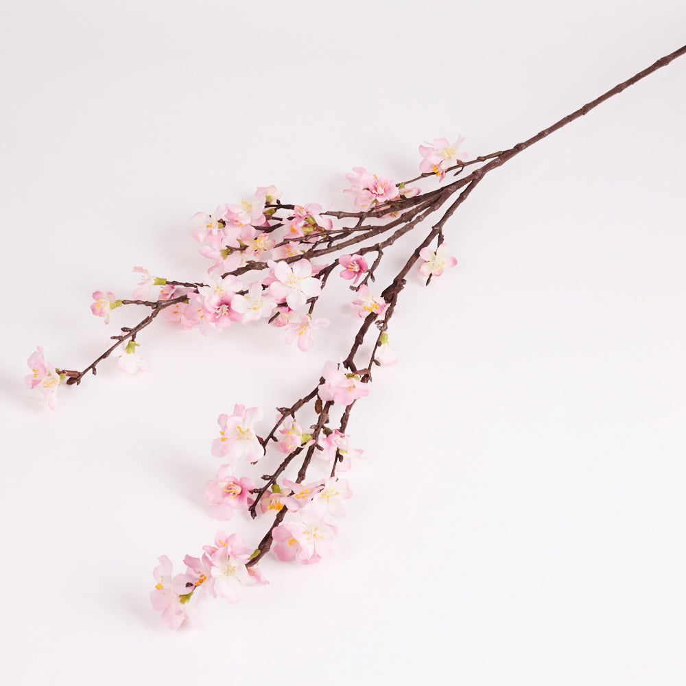 Cherry blossom SVG Sakura flowers newest Svg