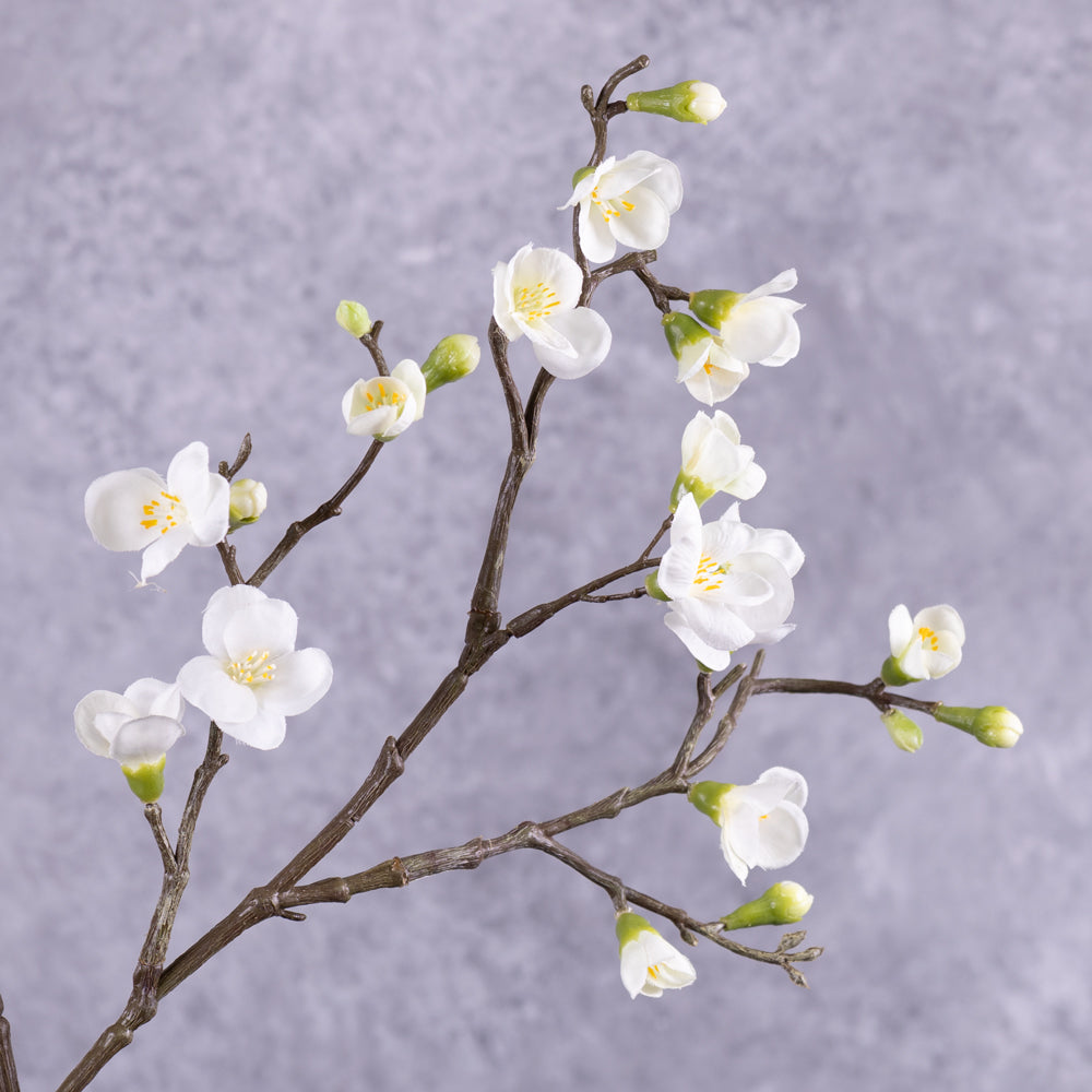 Blossom - Sakura Cherry, White, 96cm