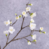 Blossom - Sakura Cherry, White, 96cm