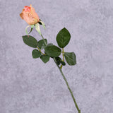 Rose Gina, Peach, 35cm, Faux