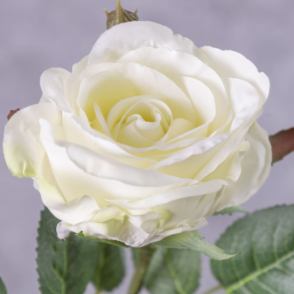 Rose Jessica, White, 32cm, Faux