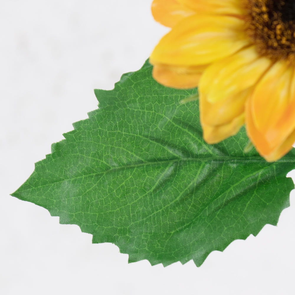 Sunflower, Helianthus, 35cm