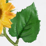 Sunflower, Helianthus, 35cm