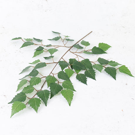 Birch Spray (Betula) Green, 64cm