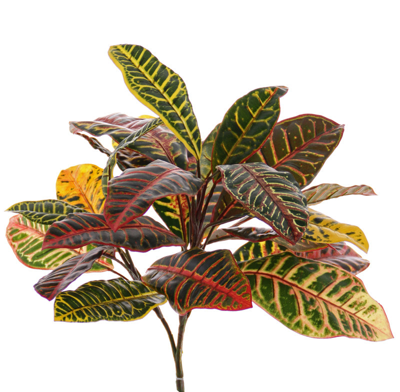 Croton Plant, Artificial, Red/Yellow/Green, H50cm