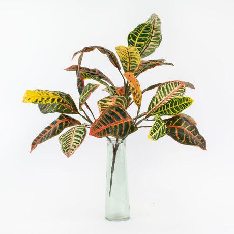 Faux Croton Plant