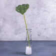 An artificial Flamingo Flower Leaf stem shown in a clear glass vase