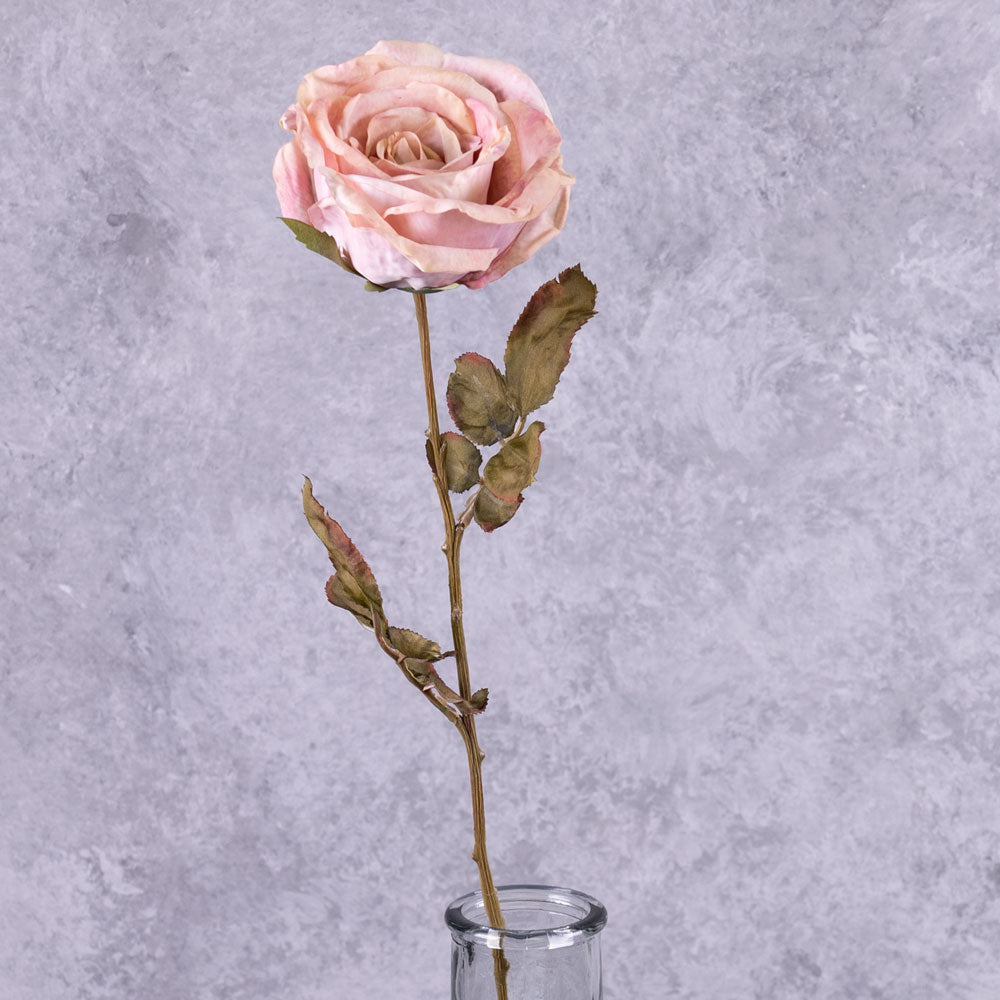 Rose Calista, Pink Blush, 66cm, Faux