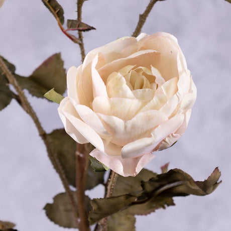 Rose Branch, Edith, Ivory Pink Splash, 76cm, Faux