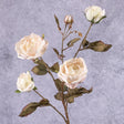 Rose Branch, Edith, Ivory Pink Splash, 76cm, Faux