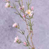 waxflower Chamelaucium pink 78cm