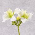 Day Lily, Garden Art, White, 65cm