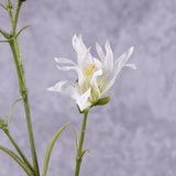 A faux cream dianthus stem with several flower heads, showing close up detail with one flower