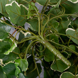 Ivy (hedera gala) Hanger, Artificial, Green / White, 65cm, UV
