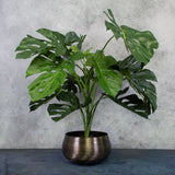 Monstera Plant in XXL brushed metal black pot cover