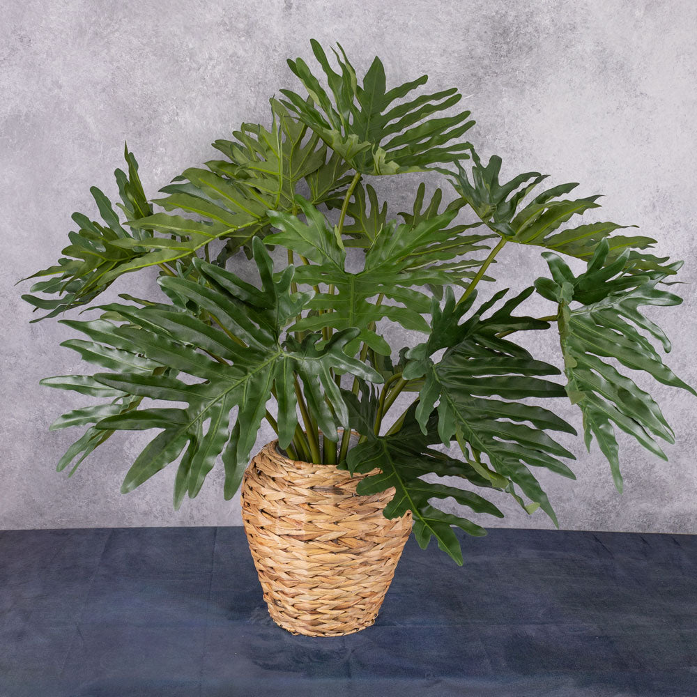 philodendron buy online uk Philodendron Selloum Plant, Artificial, D 115cm H 80cm, in Pot – Atlas Flowers