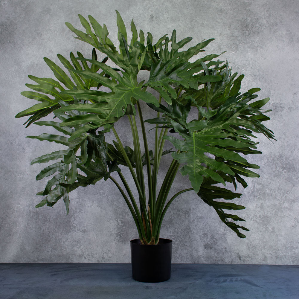 big leaf philodendron selloum Philodendron Selloum Plant, Artificial, D 115cm H 80cm, in Pot – Atlas Flowers