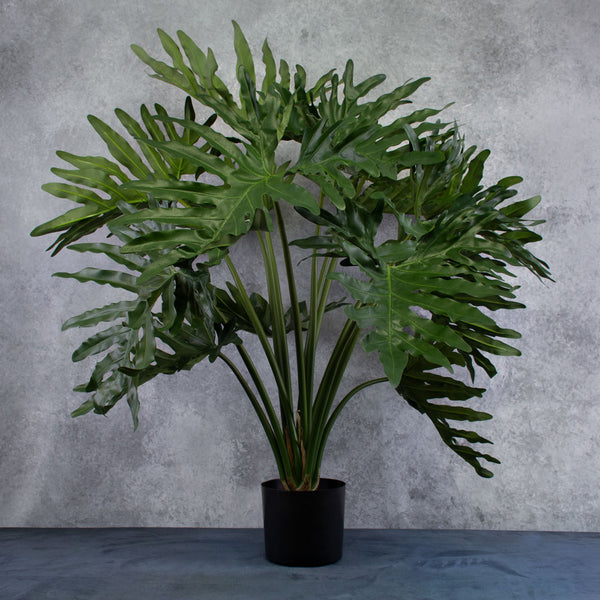 buy philodendron online uk Philodendron Selloum Plant, Artificial, D 115cm H 80cm, in Pot – Atlas  Flowers