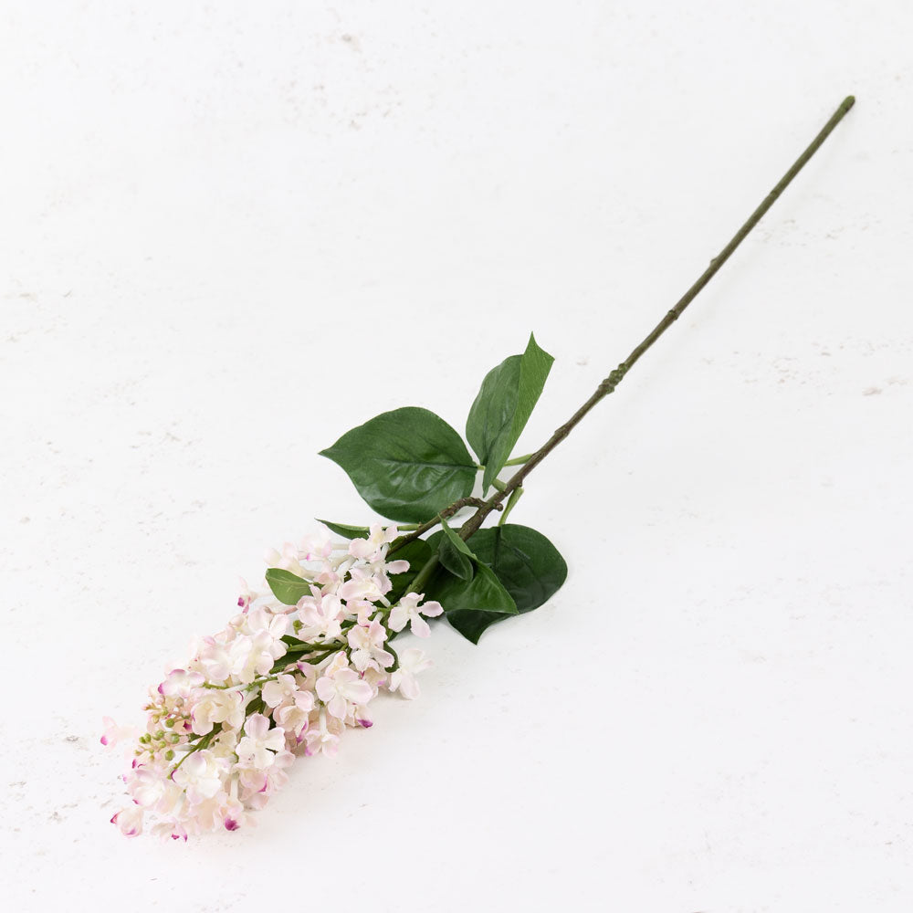 Lilac (Syringa), Light Pink, 80cm