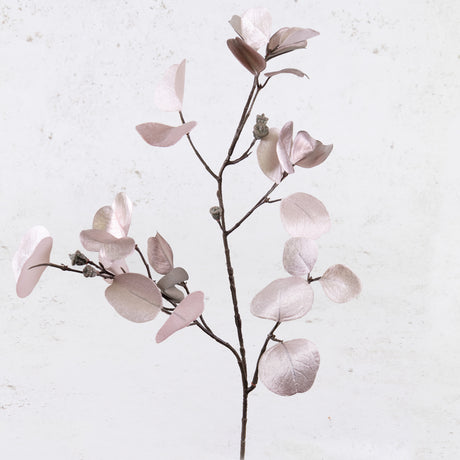 Eucalyptus 'Glamour', Arctic Pink, 83cm