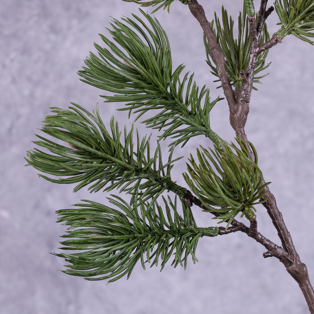 Pine Branch, with cones, 71cm