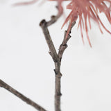 Allium Branch, Wild, Scarlet, 68cm
