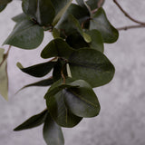 Eucalyptus Branch, Artificial, Green, 81cm