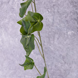 Ivy (hedera helix) Garland, Green, 1.8m